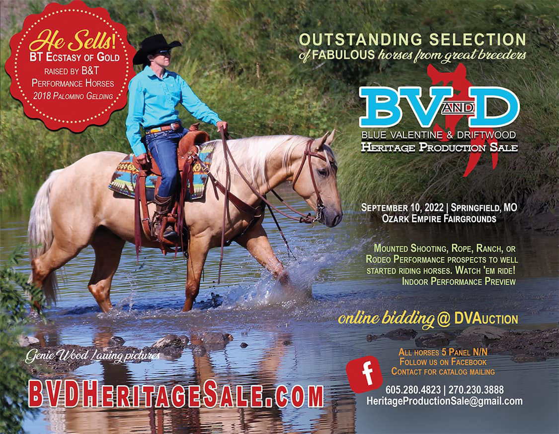 BV&D Heritage Sale